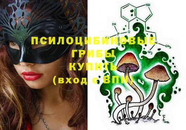 экстази Арсеньев