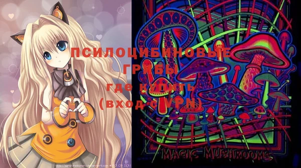 дживик Медногорск