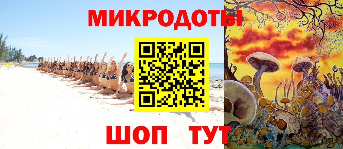 Псилоцибиновые грибы Magic Shrooms  Бор  Галлюциногенные грибы Psilocybe 