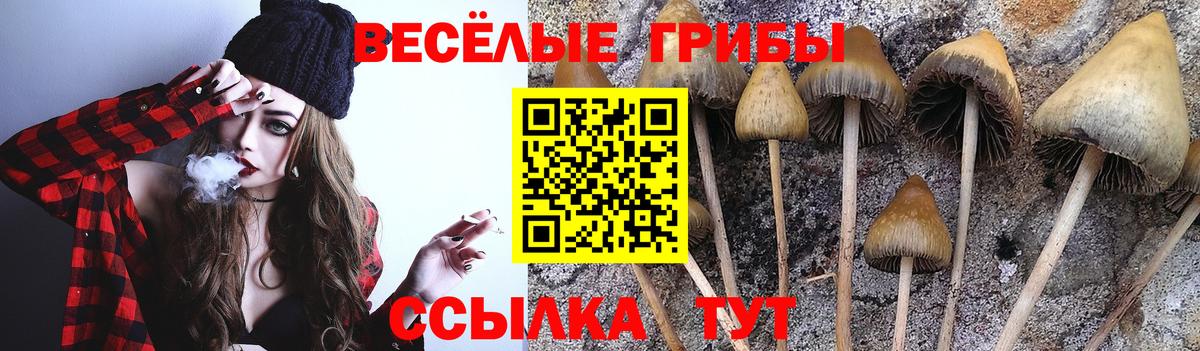 Псилоцибиновые грибы Magic Shrooms Бор