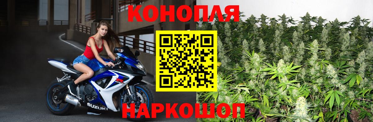 Шишки марихуана планчик Бор